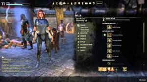 Elder Scrolls Porn - Elder Scrolls Online : Options, Menu, and Porn