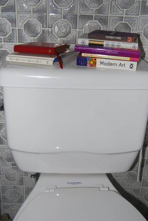 Bidet Toddler Porn - guest room