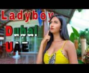 dubai ladyboy escort - dubai ladyboy escorts Videos - MyPornVid.fun