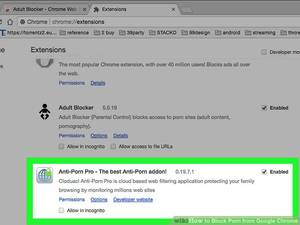 Adult Porn Sites - Image titled Block Porn from Google Chrome Step 17