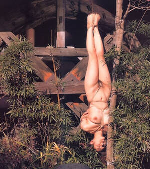 japanese geisha nude bdsm - Bondage Geisha (bondagegeisha) blog by Steve 25 June 2008