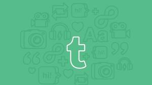 Minor Forbidden Porn Tumblr - Tumblr bans adult content to clean up the blogging platform | Tech News