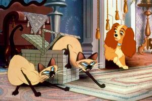 Lady & The Tramp Porn - Here's How 'Lady and the Tramp' Tackled the Problematic â€œSiamese Cat Songâ€  | Decider