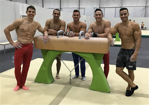 Gay Gymnast Porn - kenneth in the (212): Medalless U.S. Men's Gymnastics Team's Plan B: Gay  Porn?