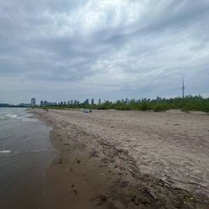 chicago beach voyeur - Hanlan's Point Beach - Nudist Beach in Centre Island