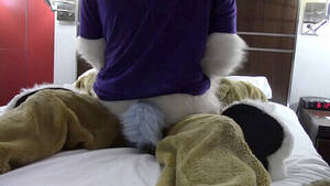Cosplay Furry Costume Porn - Furry Costumes, Furry Cosplay, Irl - Gay.Bingo