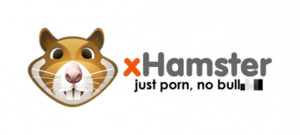 Hamster Porn Site - World's Second Most Popular Porn Website Infecting Viewers â€“ Guido Fawkes