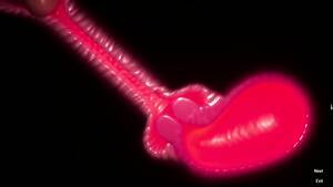 ebony cervix - Cervix Creampie (3D - No Sound) - EPORNER