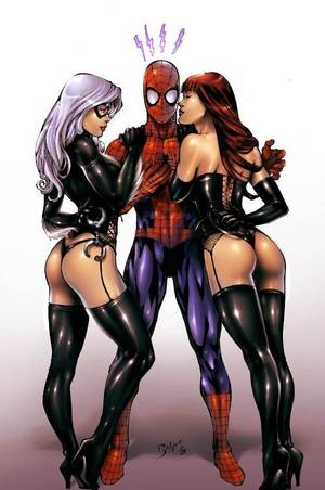 Black On Black Cat Comic Porn - Spider-Man, Mary Jane and Black Cat.someone's spider sense is tingling.  Find this Pin and more on Comic-Porno ...