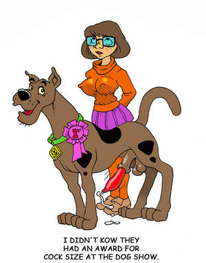 Dennis Clark Scooby Doo Porn - Rule 34 - cum dennis clark hanna-barbera penis scooby-doo scooby-doo  (character) tagme velma dinkley zoophilia | 623339