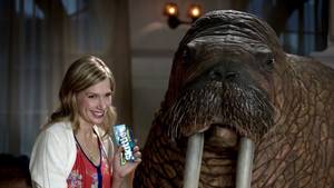 Bestiality Religion Porn - 