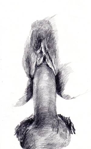 Fairy Tail Pussy Comparison Orn - This is Fuck calendar. It feels like Christmas.