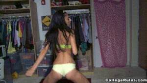 College Strip Pornhub - College Rules Strip Tease Porn Gif | Pornhub.com