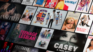 Adult Porn Channels - Roku to ban Pornhub, private adult channels - Protocol