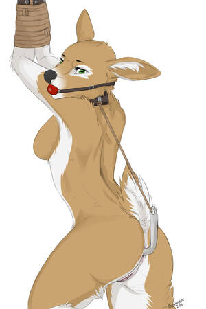 Deer Furry Porn Solo - Solo Bondage Furry Female Deer | BDSM Fetish