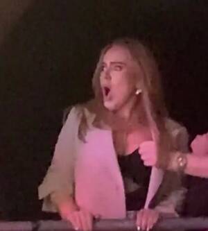 Adele Nude Porn - Adele 'storms stage' at Heaven nightclub and sends fans into a frenzy by  pole dancing - Irish Mirror Online