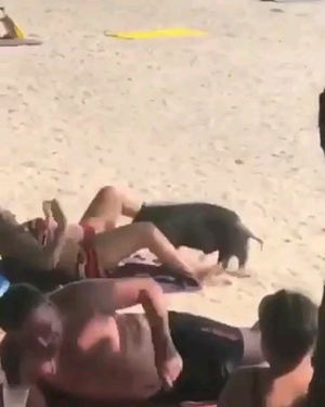 babes nude beach sex - Treasure hunt on the beach : r/funny