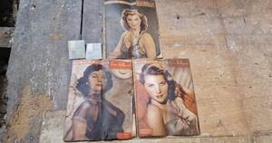 French Vintage Porn 1940s - Man finds 1940s porn magazines under floorboards at Oxford University | UK  News | Metro News
