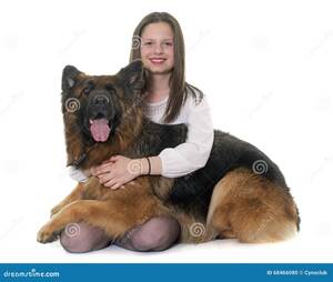 German Shepherd Porn Sites - Teenager and German Shepherd Stock Photo - Image of adult, people: 68466080