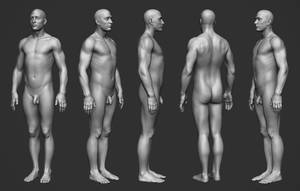 Anatomy Show - Human photo references and textures for artists - - Show User_photos