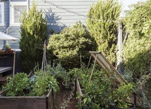 Hardscape Porn - klein-garden-mission-san-francisco-gardenista-raised-beds
