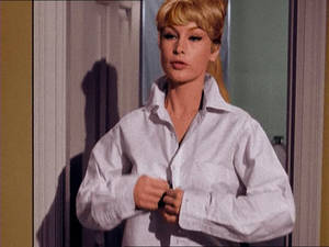 Barbara Eden Nude Porn Gif Files - How to toast the competition: â€œI Dream of Jeannieâ€ edition