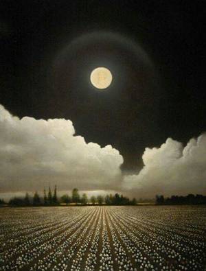 Moon Shadow Porn - By the light of the moon.