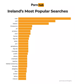 Ireland - Pornhub shares county by county breakdown of Ireland's most-searched terms  this year - Irish Mirror Online