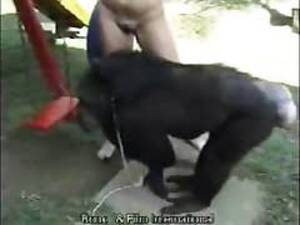 Monkey Porn Bestiality - Monkey Sex. Free bestiality porn videos with a huge kind of animals fucking  with zoophiles