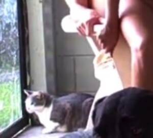Cats Amateur Porn - Indifferent Cats In Amateur Porn â€“ The Dish