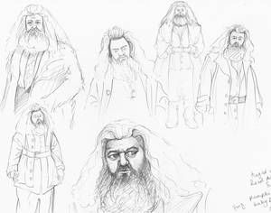Hagrid Harry Potter Gay - Harry Potter Scene Sketches | Page of Hagrid sketches in prep for another  HP painting :