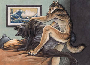 Gay Furry Wolf Sex - 