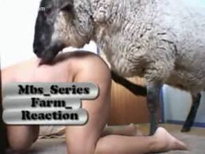 big tits sheep - Big tits almost touch the floor as this MILF is mounted by a sheep -  LuxureTV