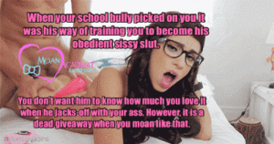 College Sissy Captions Porn - Sissy College Secret