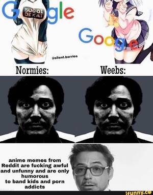 Cartoon Porn Memes - silent.berries Normies: anime memes from Reddit are fucking awful and  unfunny and are only humorous to band kids and porn addicts - iFunny Brazil