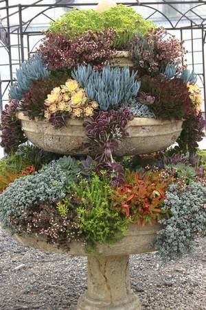 Bird Bath Porn - If you have a dry birdbath or fountain, use it to display cascading,  rosette and clump-forming succulents. Consider it a bonus if a leak ruined  your ...
