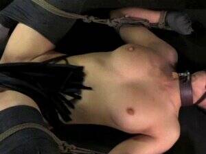 Bdsm Kitten Porn - Bdsm Kitten Play Porn | BDSM Fetish