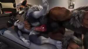 furry yiff animation - Straight Wolf Yiff-HD Animation! - Shooshtime