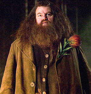 Hagrid Harry Potter Gay - It's Hagrid. WTH?! Not that I've got anything against Hagrid - in fact, I  love him, as I said the ONE TIME I mentioned him on this blog.