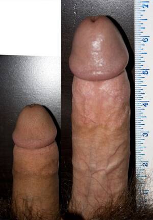 average penis gallery - Average Size Cock - Sexdicted