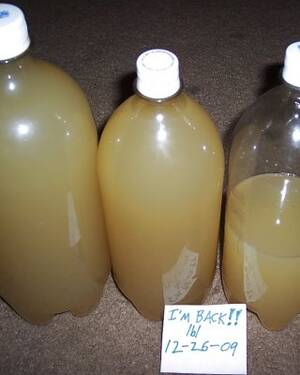 a bottle of cum - Cum Bottle Porn Pictures, XXX Photos, Sex Images #353793 - PICTOA