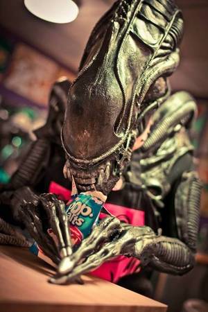 Batman Alien Vs Predator Porn - Alien Queen, Xenomorph, Alien Vs Predator, Comic Art, Pop Tarts, Halloween  Costumes, Batman Vs, Aliens, Nerd