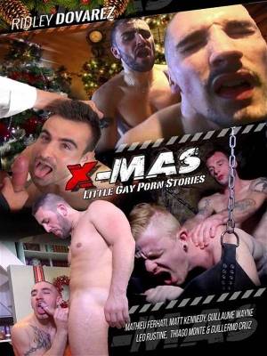 Gay Porn Dvd - X-Mas - Little Gay Porn Stories DVD (Front Cover) ...