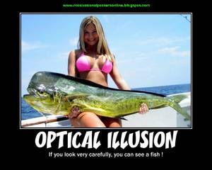 Bestiality Porn Motivational Posters - Tuesday, November 16, 2010