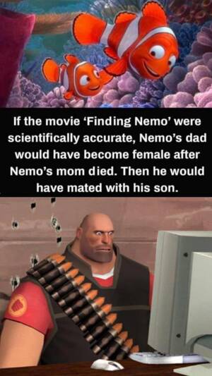 Finding Nemo Gay Porn - That's nature for ya. : r/memes