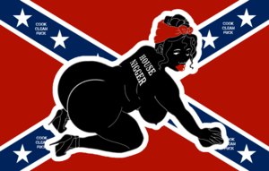 confederate interracial bbc - WTF Funny Racist Confederate House Nigger Flag LOL | MOTHERLESS.COM â„¢