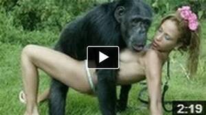 Monkey Sex With Brasilian Girls - Monkey Sex With Brasilian Girls | Sex Pictures Pass