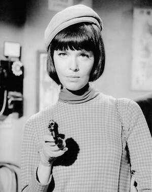 Barbara Feldon Porn - Stop pointing that thing at me. | Actresses, Old tv shows, Agent 99