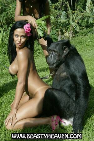 Monkey Women Porn - Girl fucked by a real monkey . Sex photo.