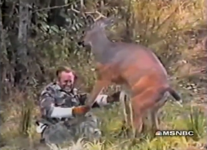 Man Fucks Deer Porn - Guy fucking deer videos . Porno photo. Comments: 1